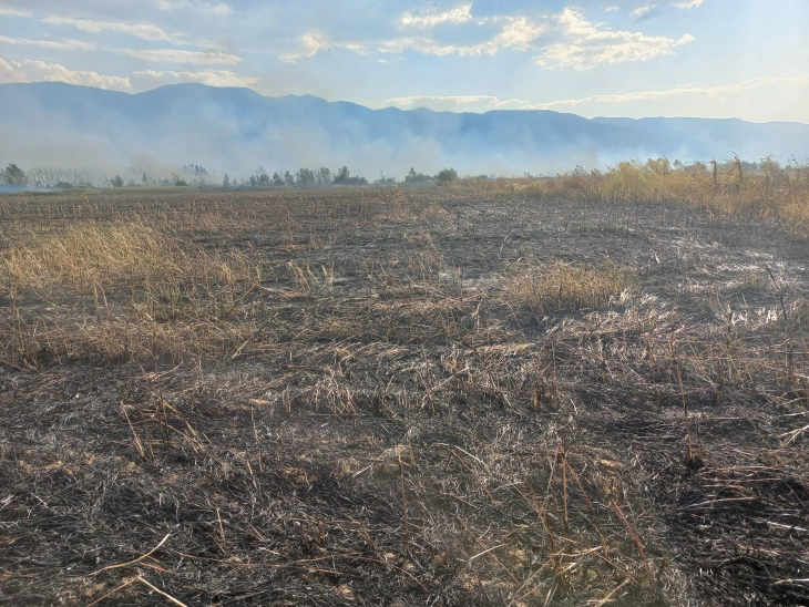 Голем пожар на отворено кај Струмица, гори површина од околу 20 хектари во должина од 3 километри