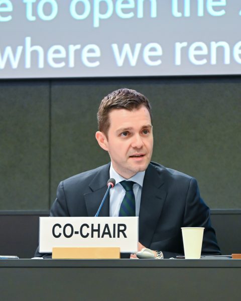 Муцунски копретседава со Регионалниот форум за одржлив развој на UNECE во Женева