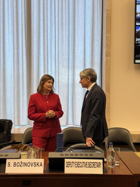 Божиновска: Инклузивната транзиција и одржливото управување со ресурси се темел на идната енергетска политика