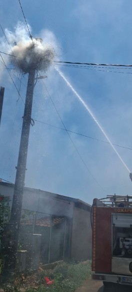 ФОТО: Се запали гнездо на штркови, спасени мајката и трите мали